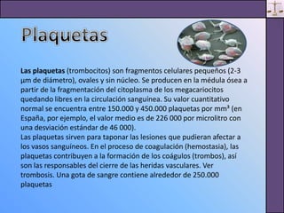 Presentacion Electronica