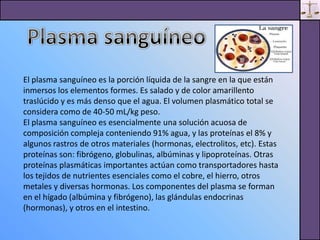 Presentacion Electronica