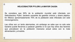 HELICOBACTER PYLORI LA MAYOR CAUSA
Se considera que 50% de la población mundial está infectada con
Helicobactory Pylori, bacteria causante de gastritis crónica y úlcera péptica.
En México aproximadamente 70% de la población está infectada con este
microorganismo.
Las cifras son un tanto alarmantes, sin embargo se sabe que no solo esta
bacteria puede llevarnos a padecer gastritis si no que hay otros dos factores
que prevalecen en la población mexicana actual estos son la mala
alimentación y el estrés.
 