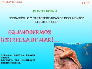 02/MAYO/2016 4103
PLANTEL NOPALA
“DESARROLLO Y CARACTERISTICAS DE DOCUMENTOS
ELECTRONICOS”
EQUINODERMOS
(ESTRELLA DE MAR)...
ALUMNA: BRENDA CHAVEZ
GOMEZ.
DOCENTE: M.C LAURENCIA
TREJO MONTIEL.
 