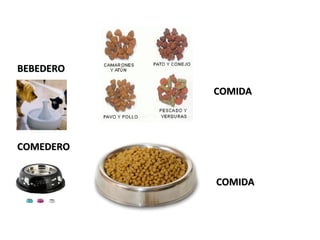 BEBEDERO
COMIDA

COMEDERO
COMIDA

 