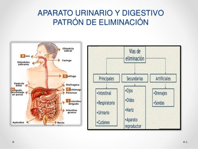 Necesidad de eliminacion