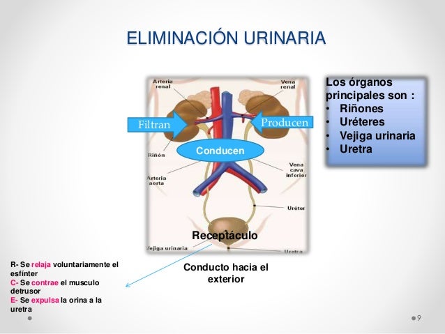 Necesidad de eliminacion