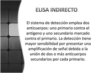 El sistema de detección emplea dos
 anticuerpos: uno primario contra el
 antígeno y uno secundario marcado
contra el primario. La detección tiene
mayor sensibilidad por presentar una
  amplificación de señal debida a la
   unión de dos o más anticuerpos
    secundarios por cada primario.
 