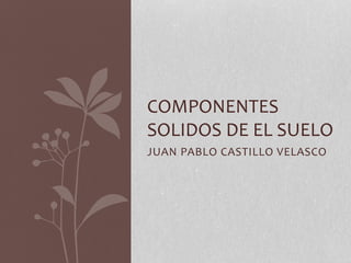 JUAN PABLO CASTILLO VELASCO
COMPONENTES
SOLIDOS DE EL SUELO
 