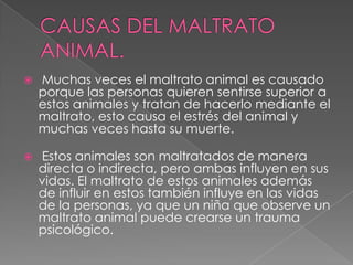  Muchas veces el maltrato animal es causado
porque las personas quieren sentirse superior a
estos animales y tratan de hacerlo mediante el
maltrato, esto causa el estrés del animal y
muchas veces hasta su muerte.
 Estos animales son maltratados de manera
directa o indirecta, pero ambas influyen en sus
vidas. El maltrato de estos animales además
de influir en estos también influye en las vidas
de la personas, ya que un niña que observe un
maltrato animal puede crearse un trauma
psicológico.
 