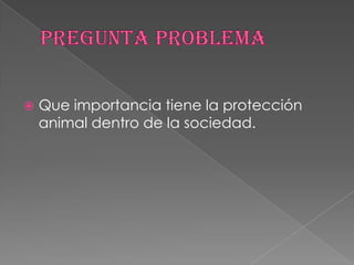  Que importancia tiene la protección
animal dentro de la sociedad.
 