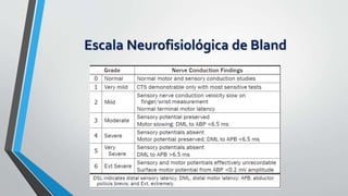 Escala Neurofisiológica de Bland
 