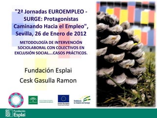 "2ª Jornadas EUROEMPLEO -
    SURGE: Protagonistas
Caminando Hacia el Empleo",
 Sevilla, 26 de Enero de 2012
  METODOLOGÍA...