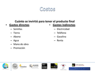 Cuánto se invirtió para tener el producto final
• Gastos directos
– Semillas
– Tierra
– Abono
– Agua
– Mano de obra
– Promoción
• Gastos indirectos
– Electricidad
– Teléfono
– Gasolina
– Renta
 