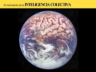 El nacimiento de la   INTELIGENCIA COLECTIVA 