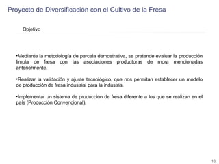 Encadenamientos Productivos con Pequeños Productores de Fruta (Alpina)