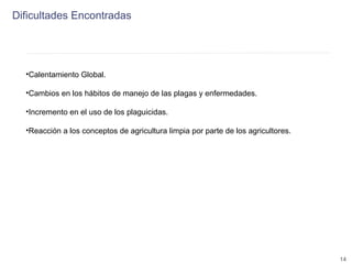 Encadenamientos Productivos con Pequeños Productores de Fruta (Alpina)