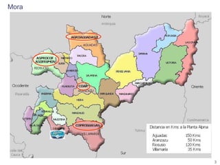 Encadenamientos Productivos con Pequeños Productores de Fruta (Alpina)