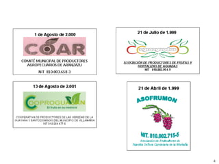 Encadenamientos Productivos con Pequeños Productores de Fruta (Alpina)