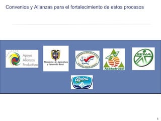Encadenamientos Productivos con Pequeños Productores de Fruta (Alpina)