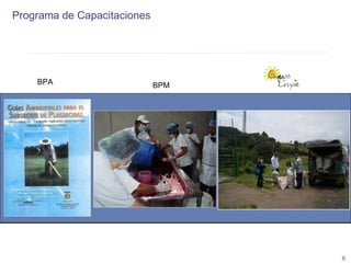 Encadenamientos Productivos con Pequeños Productores de Fruta (Alpina)