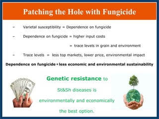 GWAS of Resistance to Stem and Sheath Diseases of Uruguayan Advanced Rice Breeding Germplasm