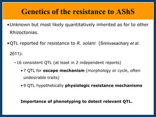 GWAS of Resistance to Stem and Sheath Diseases of Uruguayan Advanced Rice Breeding Germplasm
