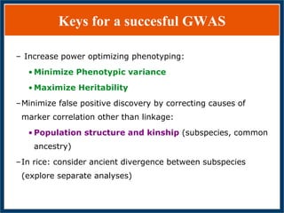 GWAS of Resistance to Stem and Sheath Diseases of Uruguayan Advanced Rice Breeding Germplasm