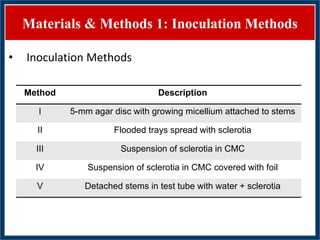 GWAS of Resistance to Stem and Sheath Diseases of Uruguayan Advanced Rice Breeding Germplasm