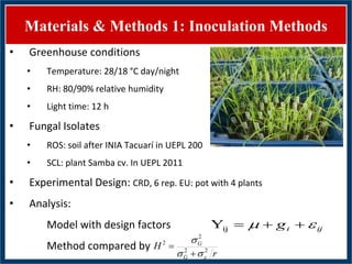 GWAS of Resistance to Stem and Sheath Diseases of Uruguayan Advanced Rice Breeding Germplasm