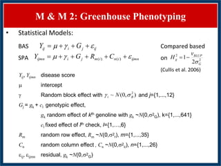 GWAS of Resistance to Stem and Sheath Diseases of Uruguayan Advanced Rice Breeding Germplasm