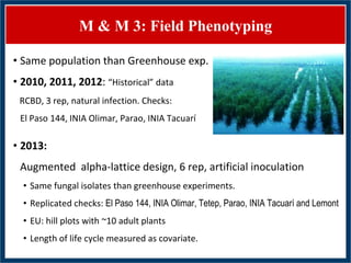 GWAS of Resistance to Stem and Sheath Diseases of Uruguayan Advanced Rice Breeding Germplasm