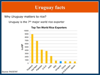 GWAS of Resistance to Stem and Sheath Diseases of Uruguayan Advanced Rice Breeding Germplasm