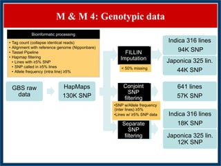 GWAS of Resistance to Stem and Sheath Diseases of Uruguayan Advanced Rice Breeding Germplasm