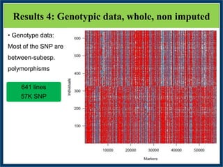 GWAS of Resistance to Stem and Sheath Diseases of Uruguayan Advanced Rice Breeding Germplasm