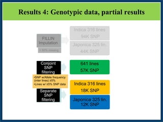 GWAS of Resistance to Stem and Sheath Diseases of Uruguayan Advanced Rice Breeding Germplasm