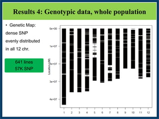 GWAS of Resistance to Stem and Sheath Diseases of Uruguayan Advanced Rice Breeding Germplasm