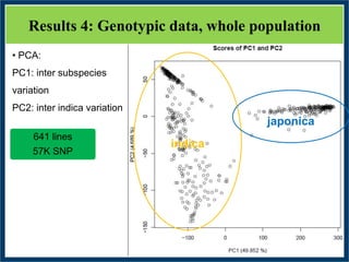 GWAS of Resistance to Stem and Sheath Diseases of Uruguayan Advanced Rice Breeding Germplasm