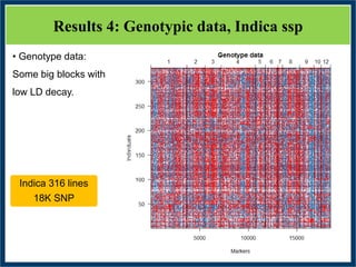 GWAS of Resistance to Stem and Sheath Diseases of Uruguayan Advanced Rice Breeding Germplasm