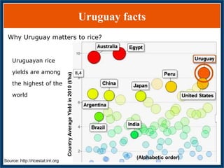 GWAS of Resistance to Stem and Sheath Diseases of Uruguayan Advanced Rice Breeding Germplasm