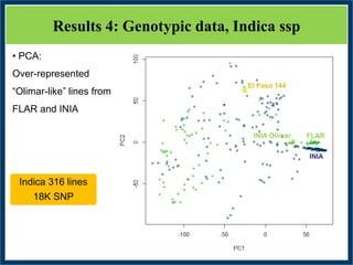 GWAS of Resistance to Stem and Sheath Diseases of Uruguayan Advanced Rice Breeding Germplasm