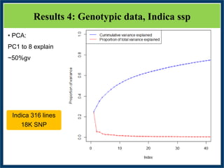 GWAS of Resistance to Stem and Sheath Diseases of Uruguayan Advanced Rice Breeding Germplasm