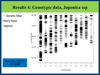 GWAS of Resistance to Stem and Sheath Diseases of Uruguayan Advanced Rice Breeding Germplasm