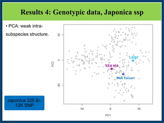 GWAS of Resistance to Stem and Sheath Diseases of Uruguayan Advanced Rice Breeding Germplasm