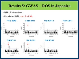 GWAS of Resistance to Stem and Sheath Diseases of Uruguayan Advanced Rice Breeding Germplasm