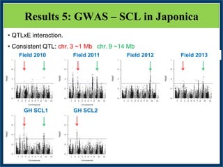 GWAS of Resistance to Stem and Sheath Diseases of Uruguayan Advanced Rice Breeding Germplasm