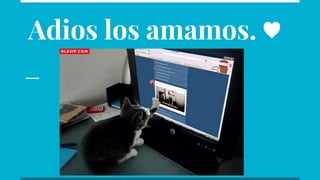 Adios los amamos. ♥
 