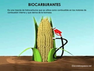 BIOCARBURANTES Es una mezcla de hidrocarburos que se utiliza como combustible en los motores de combustión interna y que deriva de la biomasa. Elecodelospasos.net 