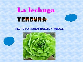 La lechuga
 verdura
   La verdura

HECHO POR:NOEMÍ,NOELIA Y PABLO.L.
 