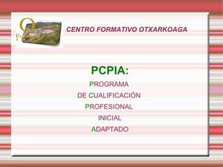 CENTRO FORMATIVO OTXARKOAGA




     PCPIA:
     PROGRAMA
  DE CUALIFICACIÓN
    PROFESIONAL
       INICIAL
     ADAPTADO
 