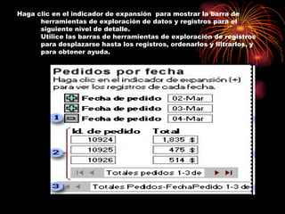 Haga clic en el indicador de expansión  para mostrar la barra de herramientas de exploración de datos y registros para el siguiente nivel de detalle.  Utilice las barras de herramientas de exploración de registros para desplazarse hasta los registros, ordenarlos y filtrarlos, y para obtener ayuda.  