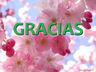 Al hacer clic en tu tabla se abren nuevas opciones como:	Estilo de tabla.	Color de tabla.	Grosor de borde.	Color de borde.