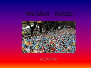 MaratónAdidas 42,200 km 