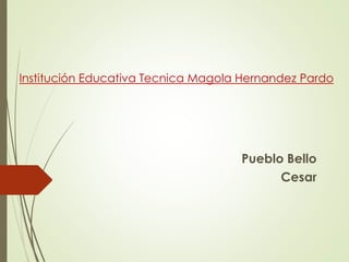 Institución Educativa Tecnica Magola Hernandez Pardo 
Pueblo Bello 
Cesar 
 